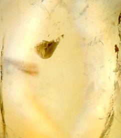 Přívěšek citrín - Supreme Panthers