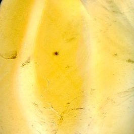 Přívěšek citrín - Supreme Panthers