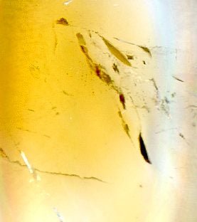 Přívěšek citrín - Supreme Panthers