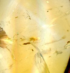 Přívěšek citrín - Supreme Panthers