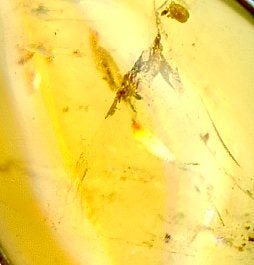 Přívěšek citrín - Supreme Panthers