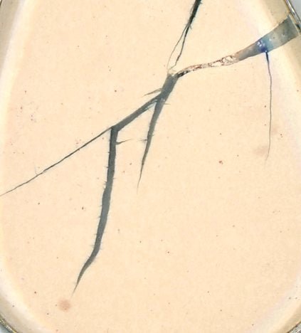 Přívěšek jaspis Maligano - Supreme Panthers