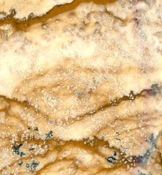 Přívěšek jaspis obrázkový - Supreme Panthers