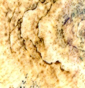 Přívěšek jaspis obrázkový - Supreme Panthers