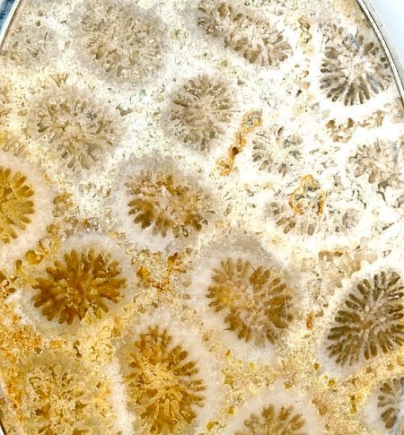 Přívěšek korál žlutý - Supreme Panthers