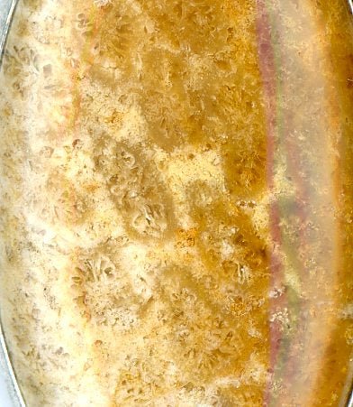 Přívěšek korál žlutý - Supreme Panthers