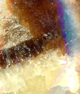 Přívěšek septárie - Supreme Panthers