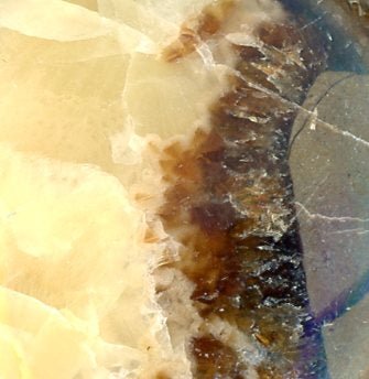 Přívěšek septárie - Supreme Panthers