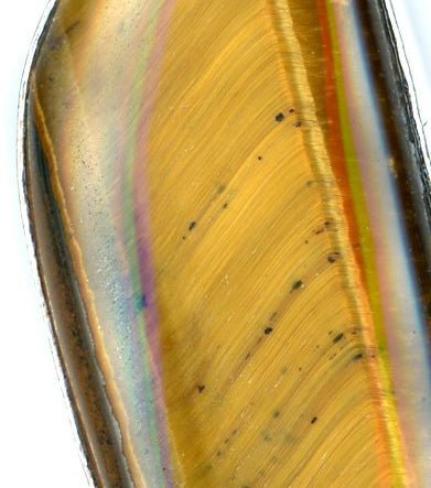 Přívěšek tygří oko - Supreme Panthers