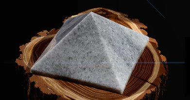 Supreme Panthers | váš most mezi živou a neživou přírodou