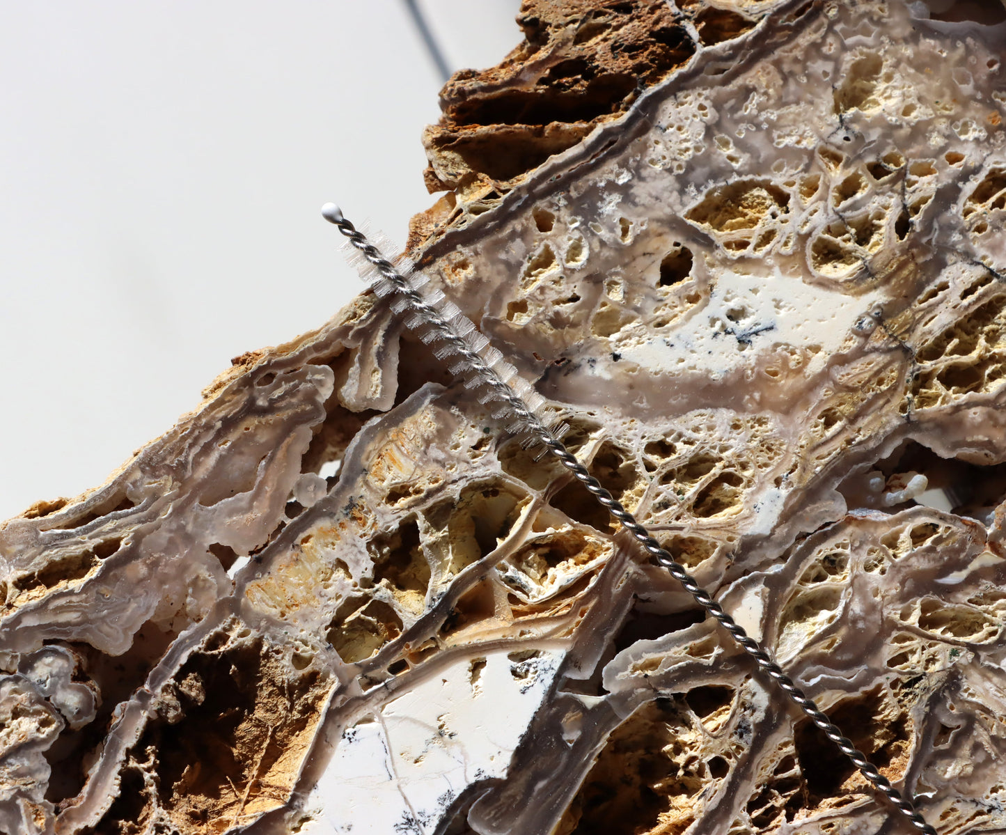 Všestranný kartáček malý na nepřístupná místa - Supreme Panthers