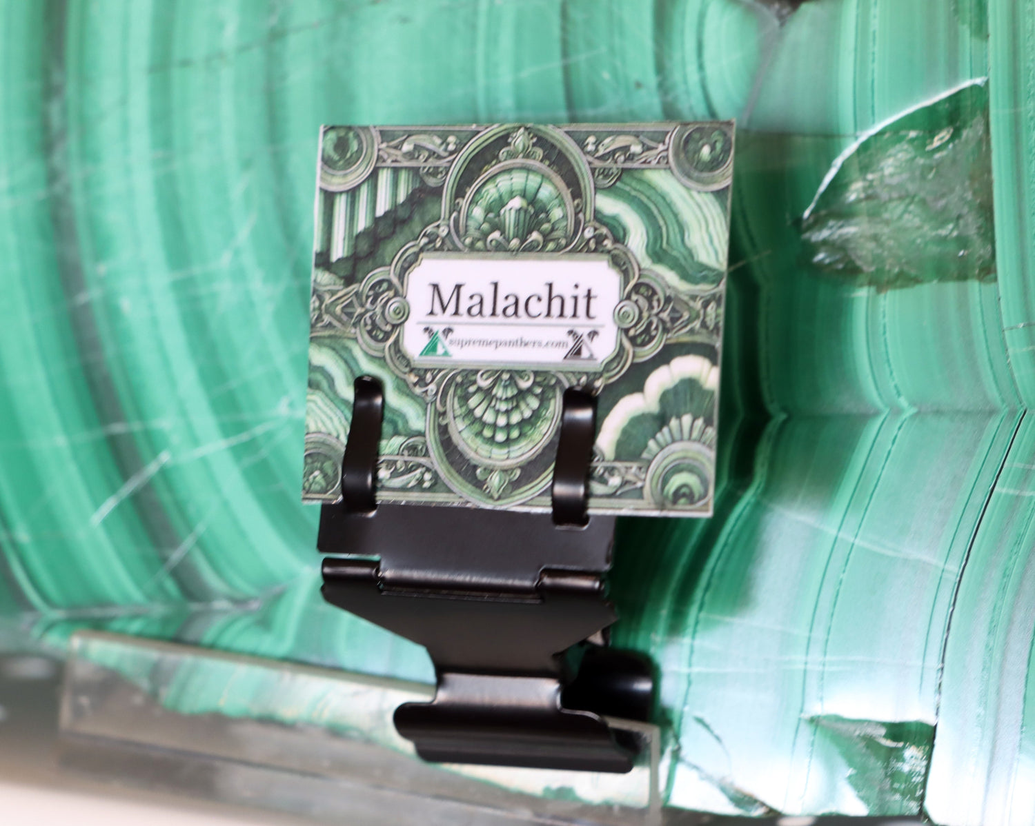 Cedulky, držáky, popisovače - Supreme Panthers