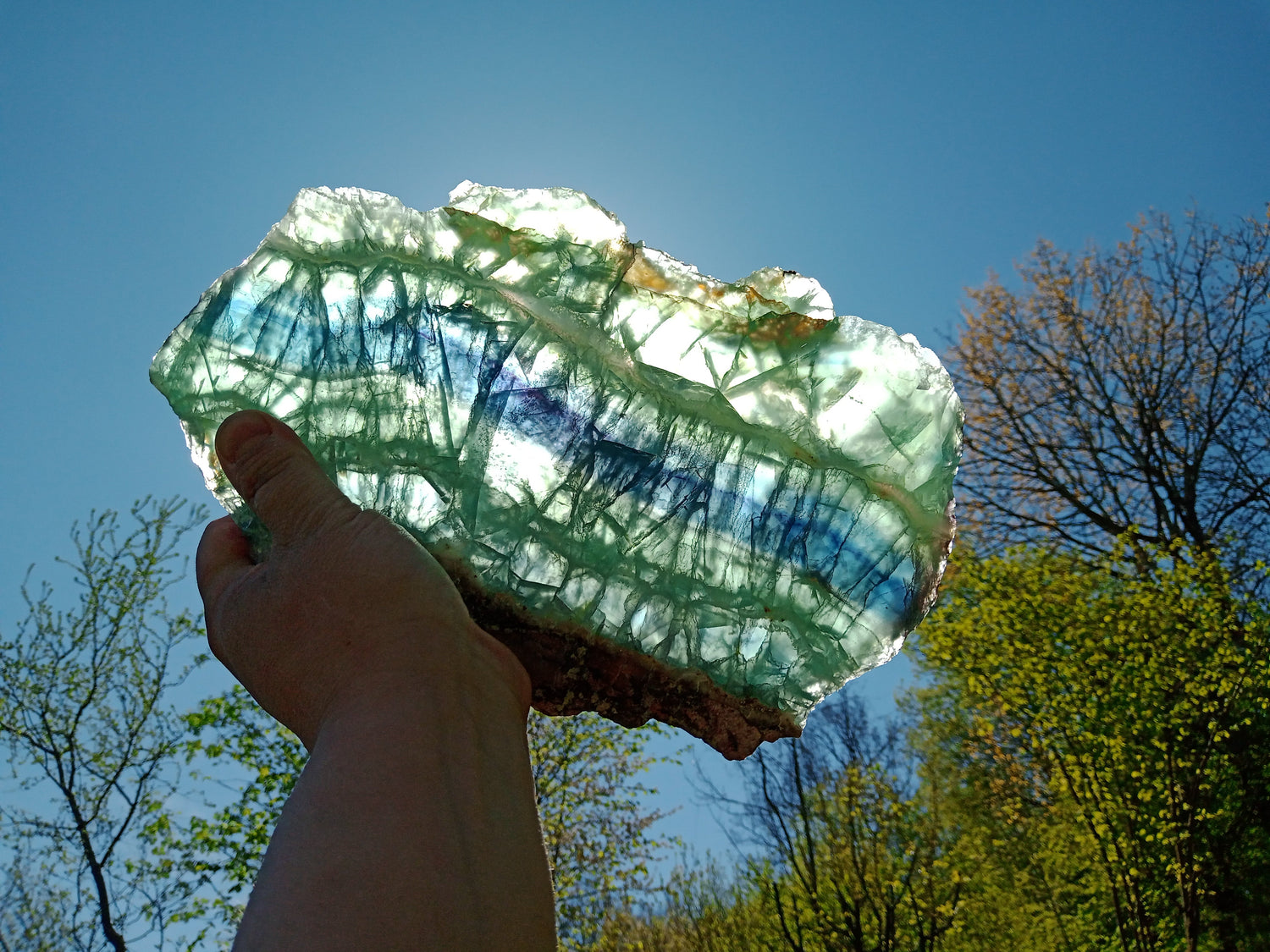 Estetické plátky - Supreme Panthers