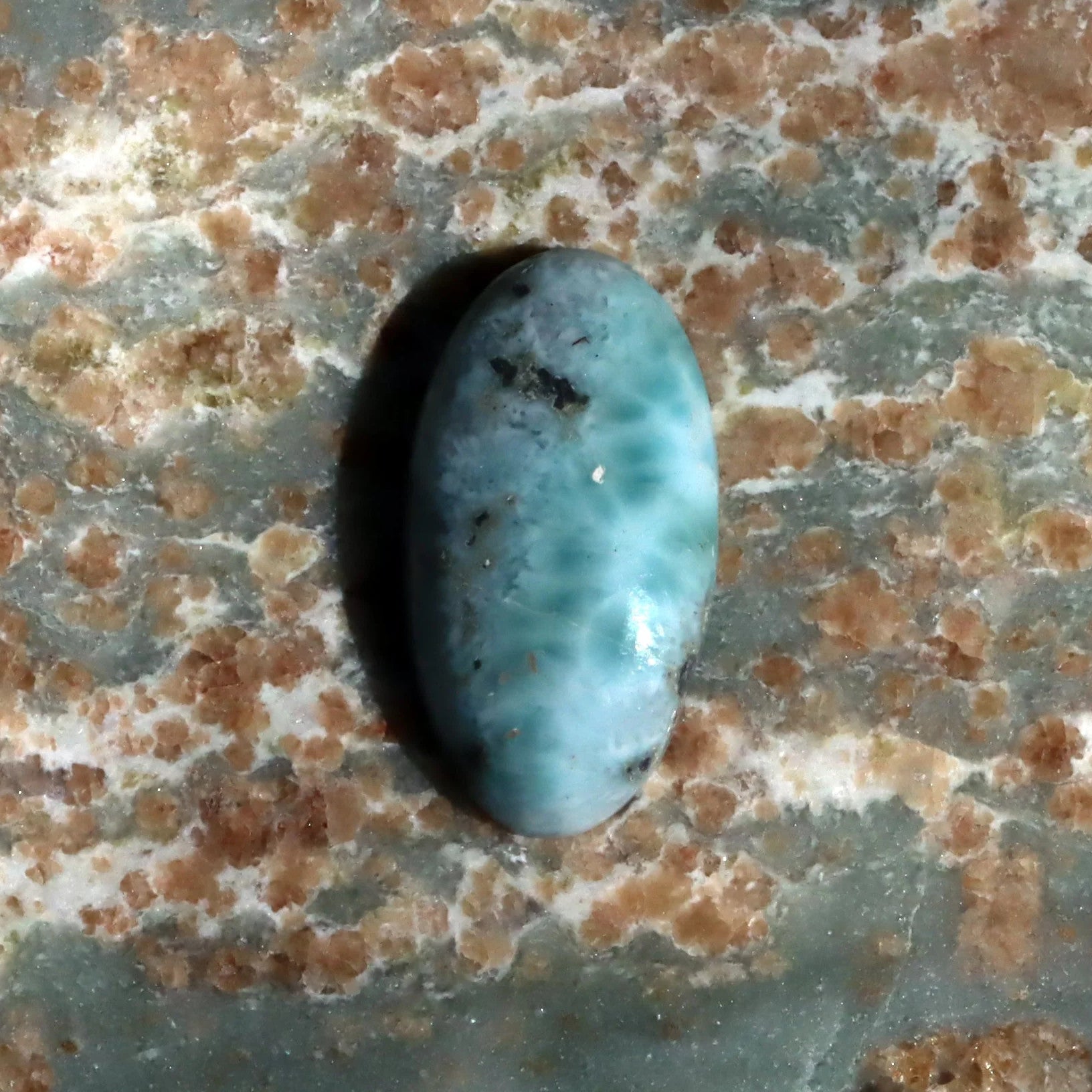 Kabošony kusy - Supreme Panthers