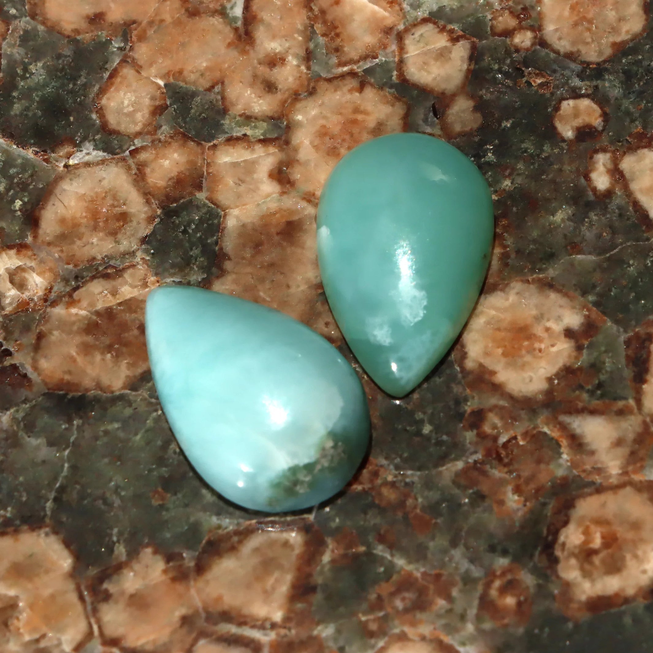 Kabošony páry - Supreme Panthers