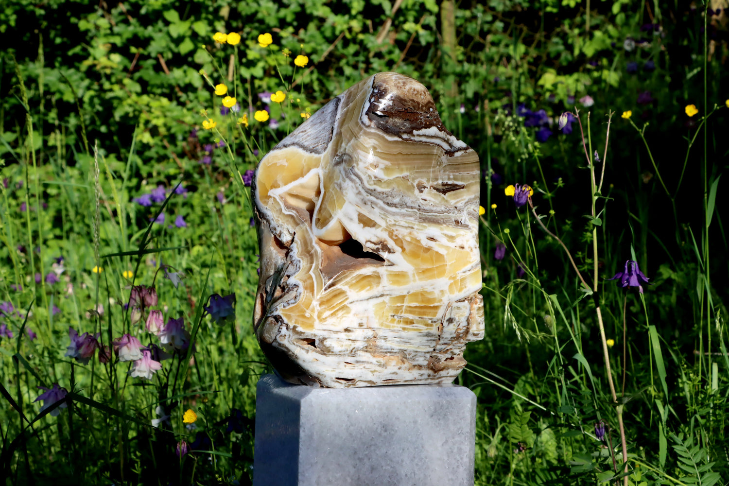 Oltáře a monumenty - Supreme Panthers