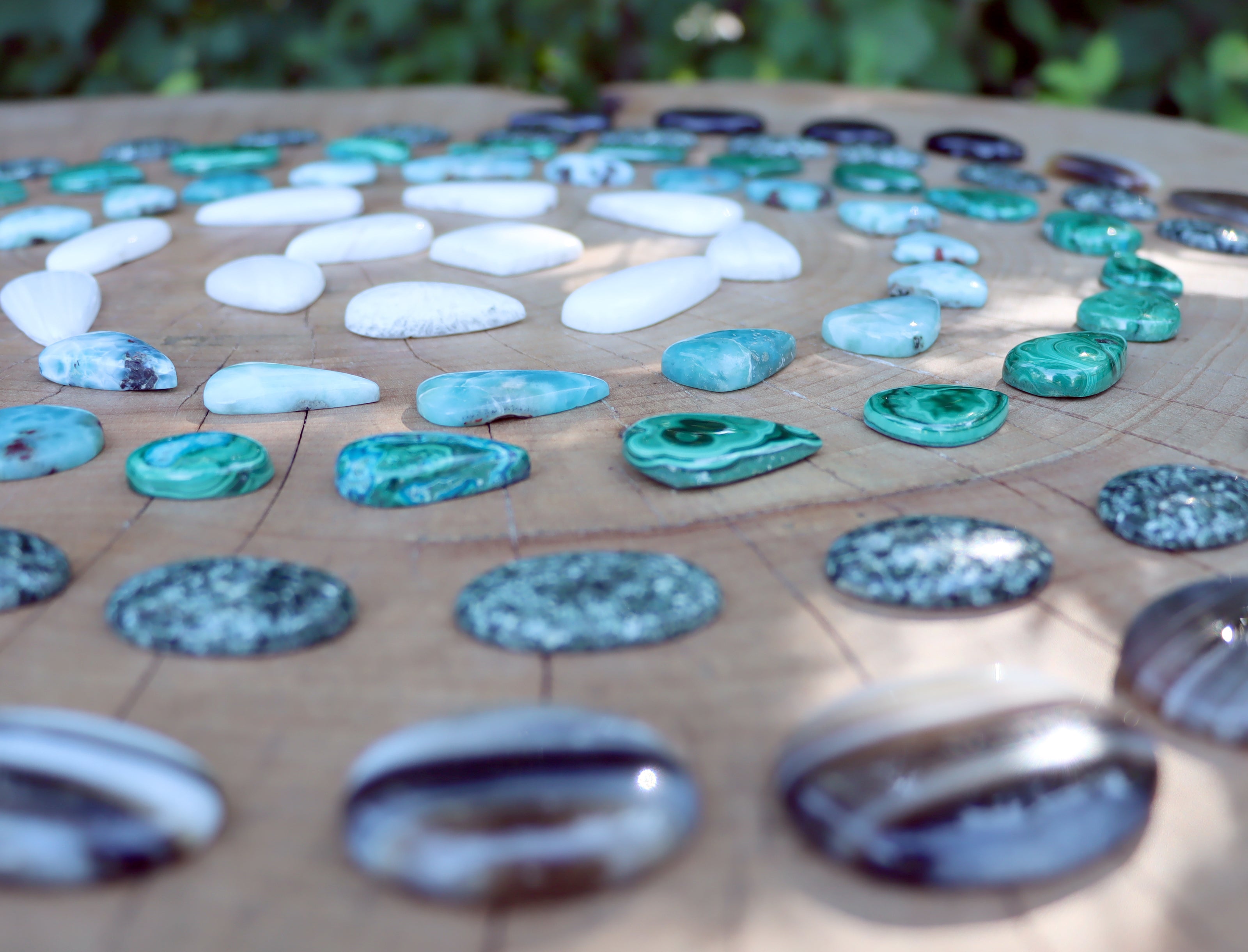 Slevy a akce - Supreme Panthers