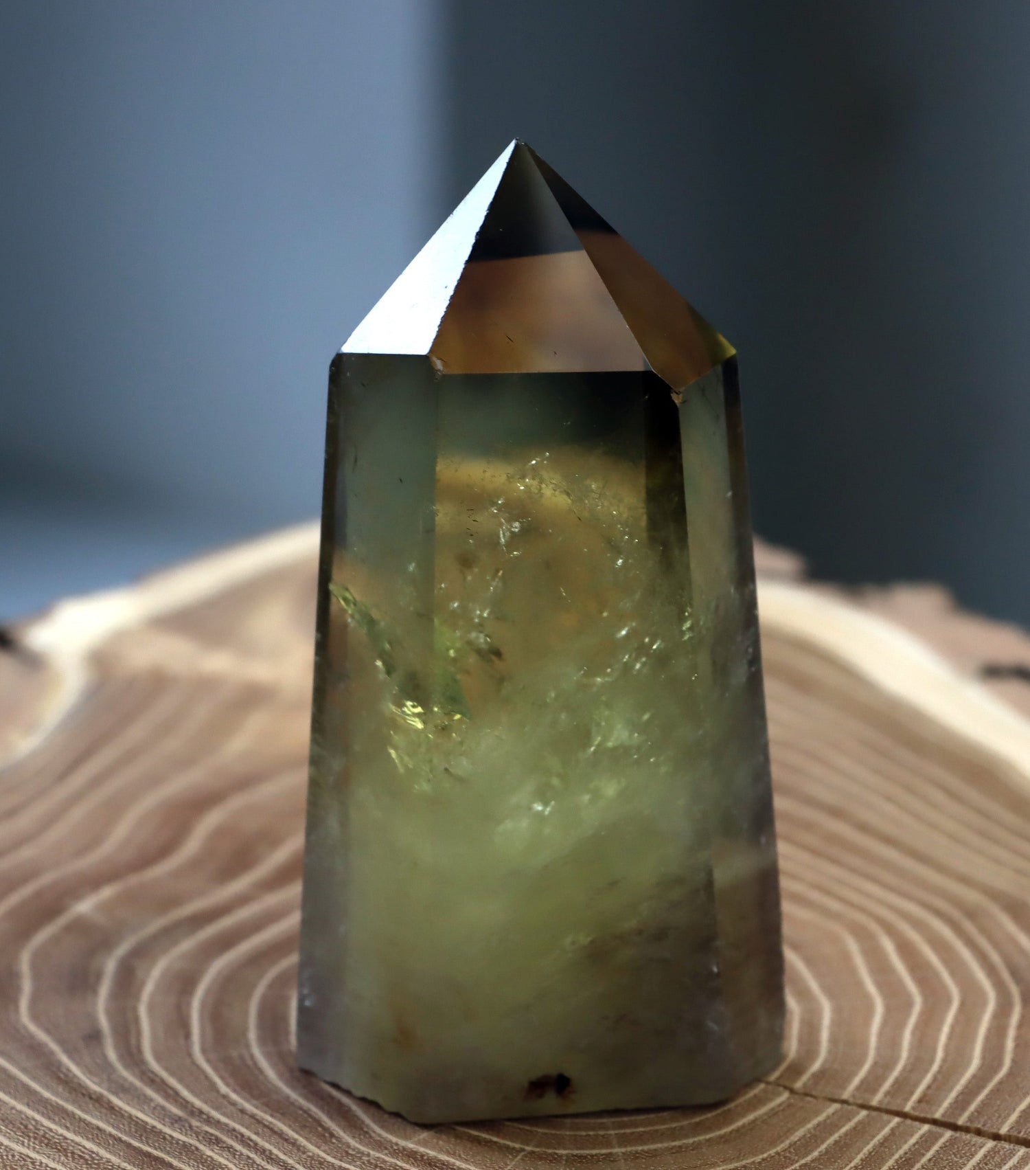 Špičky - Supreme Panthers