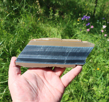 Sokolí oko leštěné