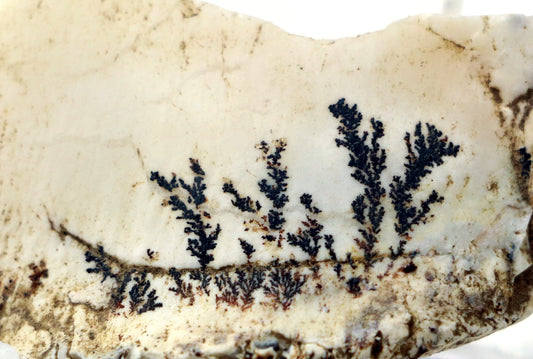 Dendrity - Psilomelan "wad" na opálu