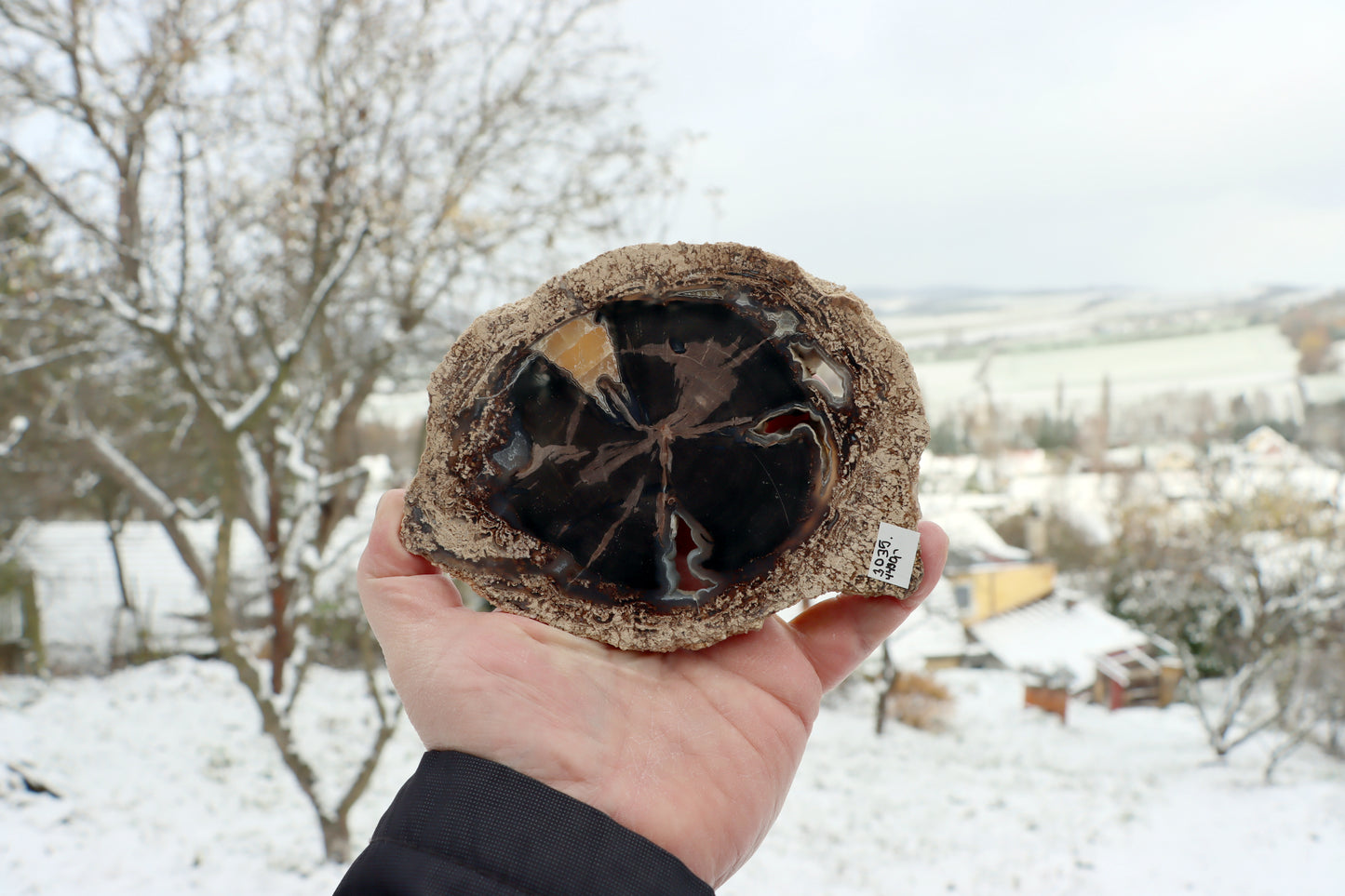 Zkřemenělý pepřovník Schinoxylon achát kalcit stromatolity