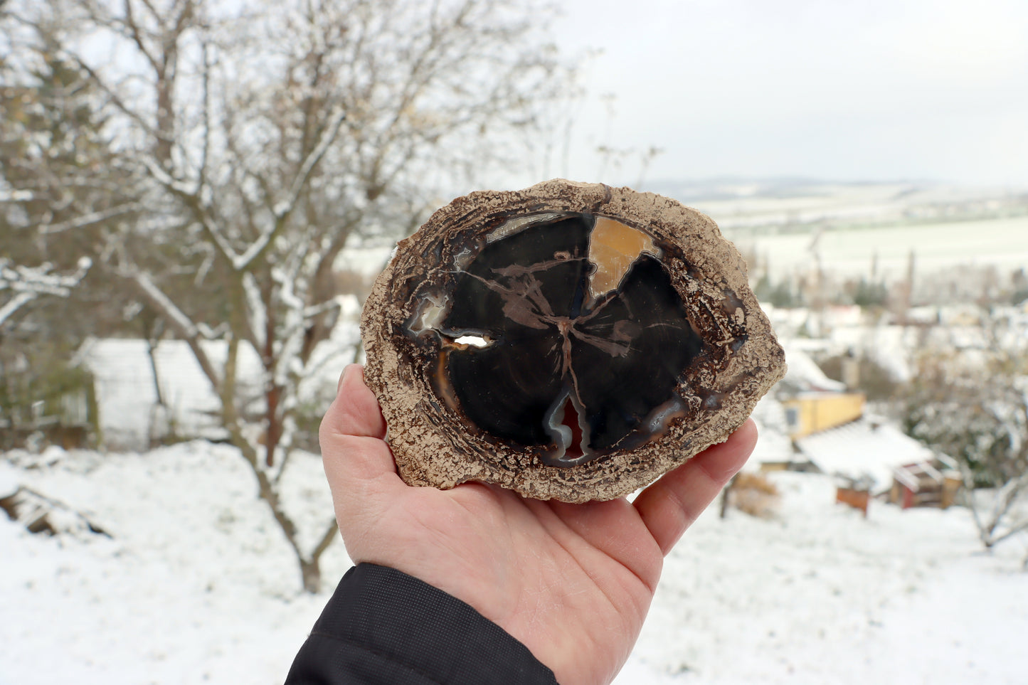 Zkřemenělý pepřovník Schinoxylon achát kalcit stromatolity