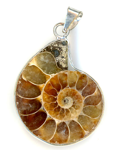 Přívěšek amonit
