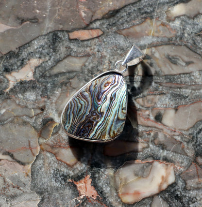 Přívěšek Abalone sheel Paua