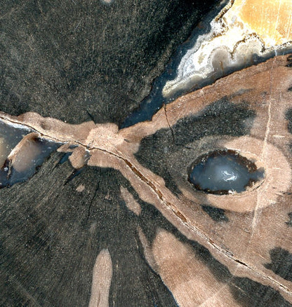 Zkřemenělý pepřovník Schinoxylon achát kalcit stromatolity