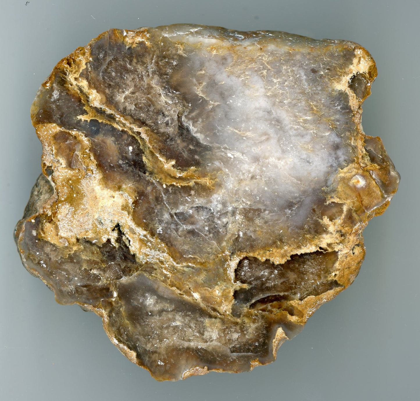 Chalcedon