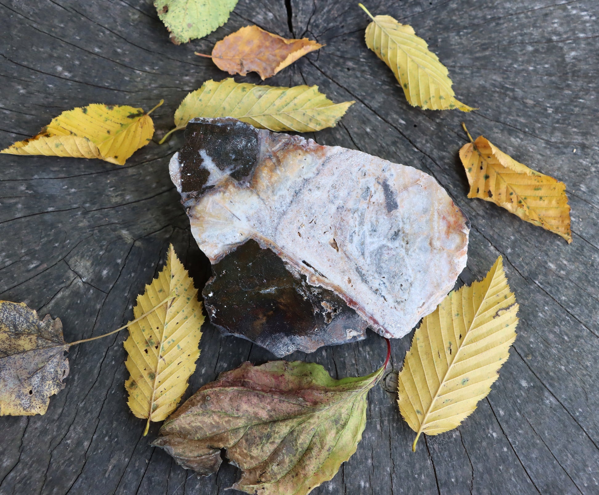 Achát v hematitu - Supreme Panthers