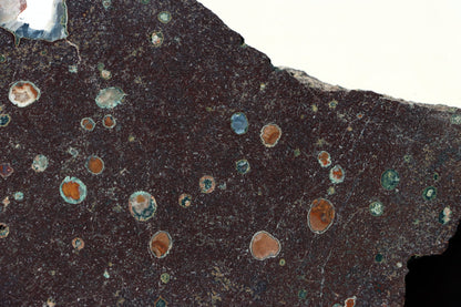 Acháty v melafýru - Supreme Panthers