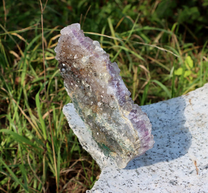 Ametystová drúza - Supreme Panthers