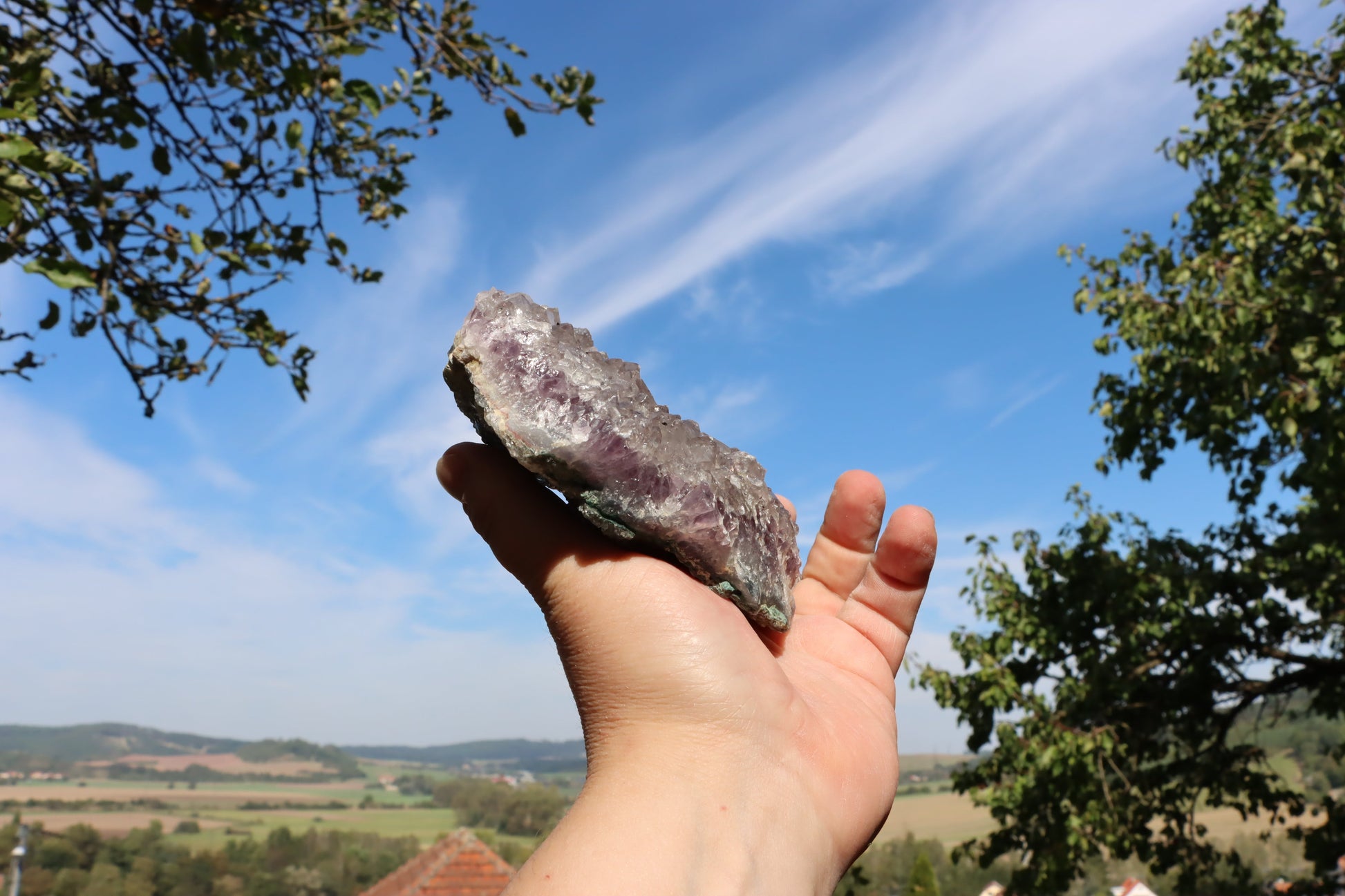 Ametystová drúza - Supreme Panthers