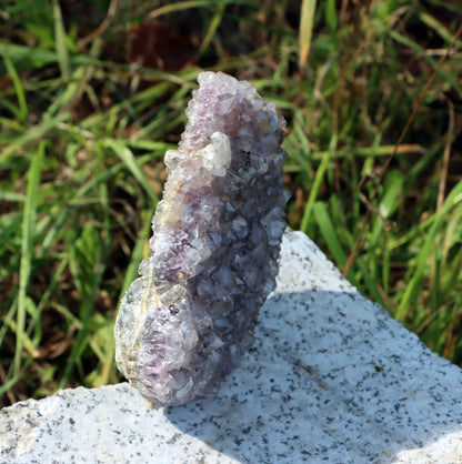 Ametystová drúza - Supreme Panthers