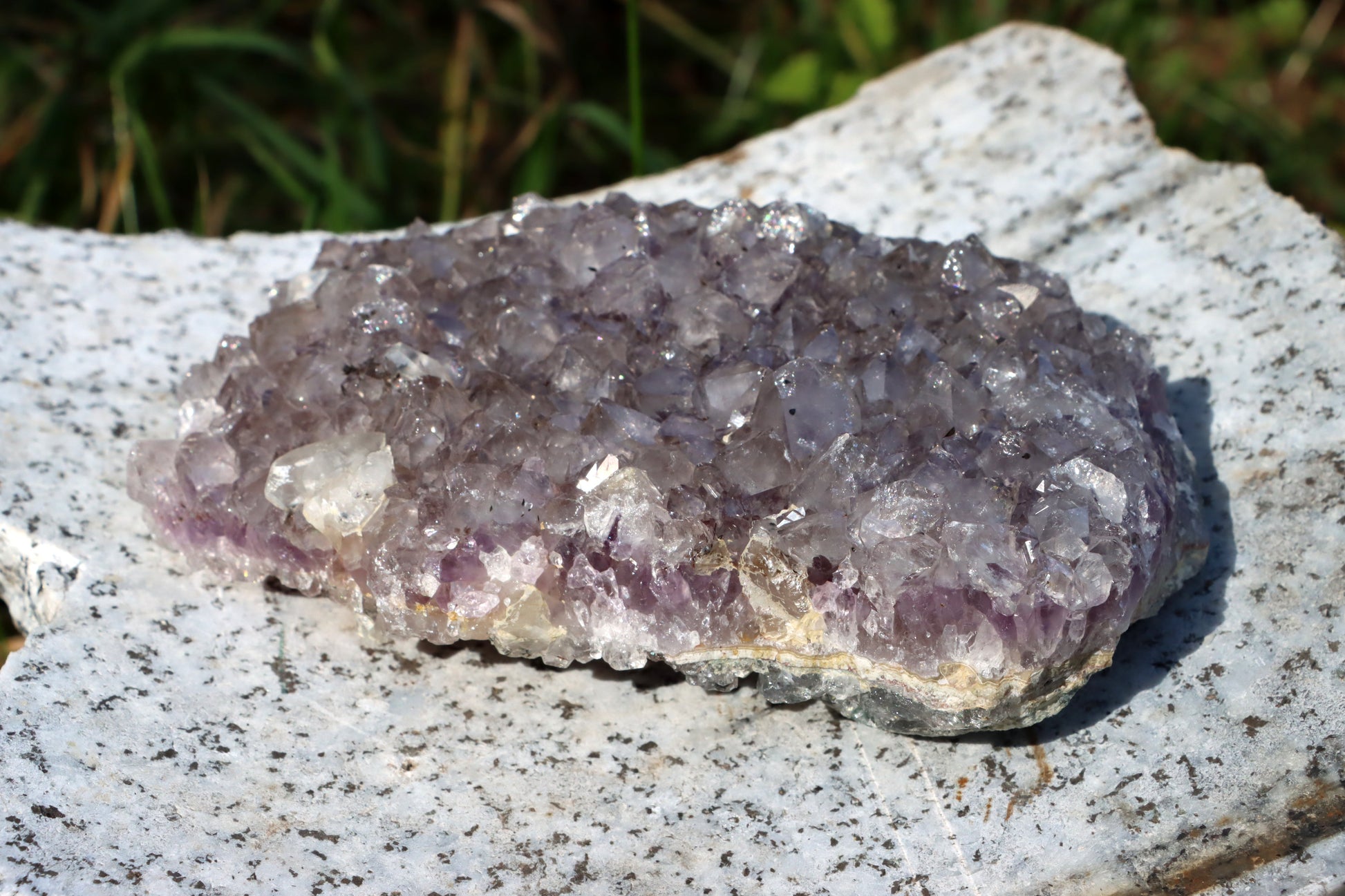 Ametystová drúza - Supreme Panthers