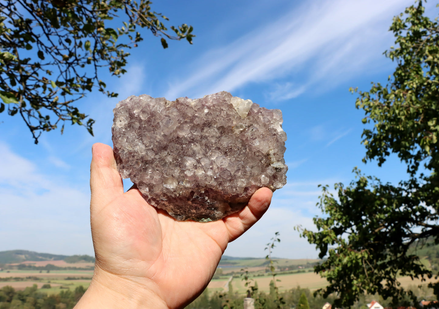 Ametystová drúza - Supreme Panthers