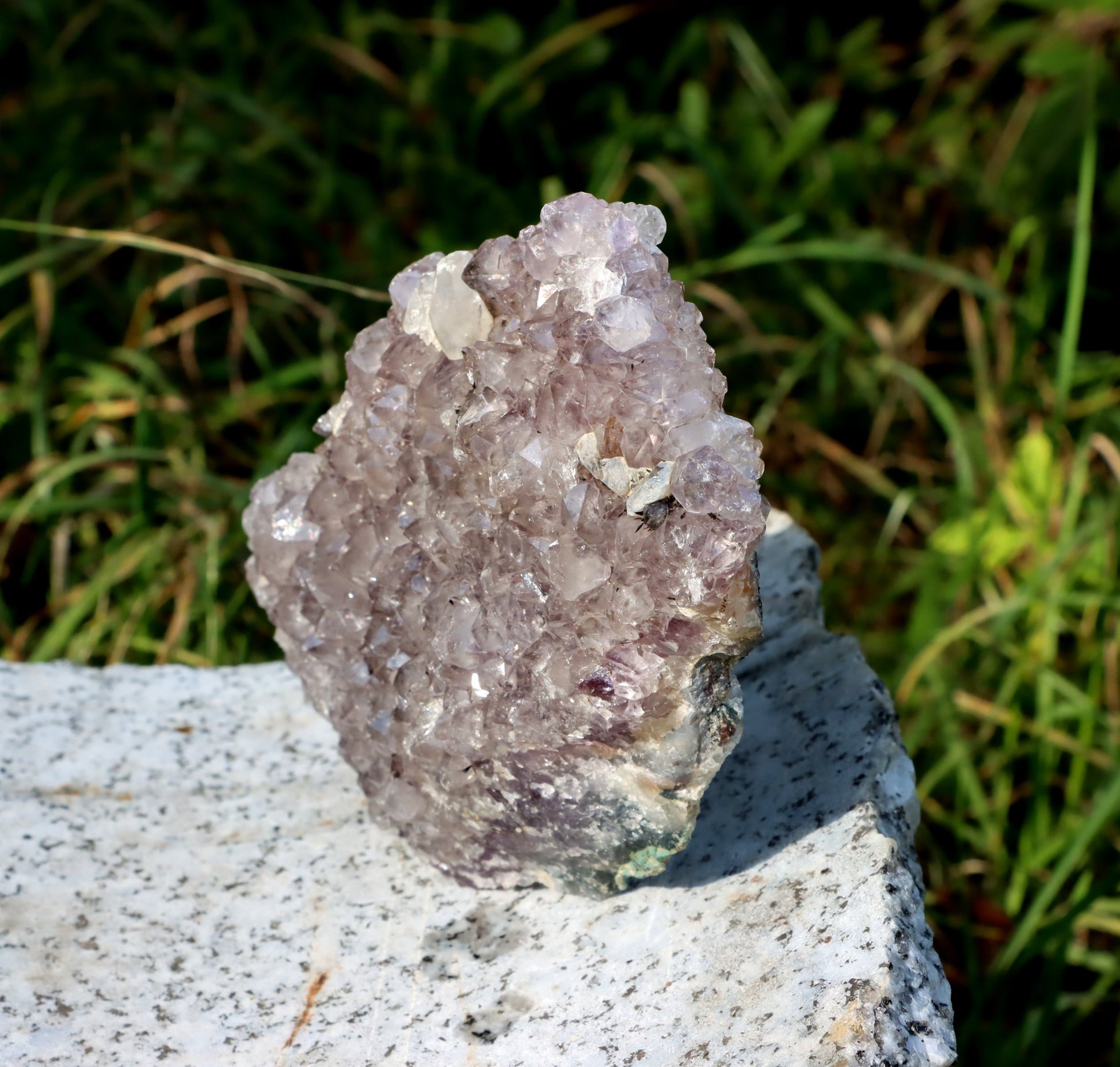 Ametystová drúza - Supreme Panthers