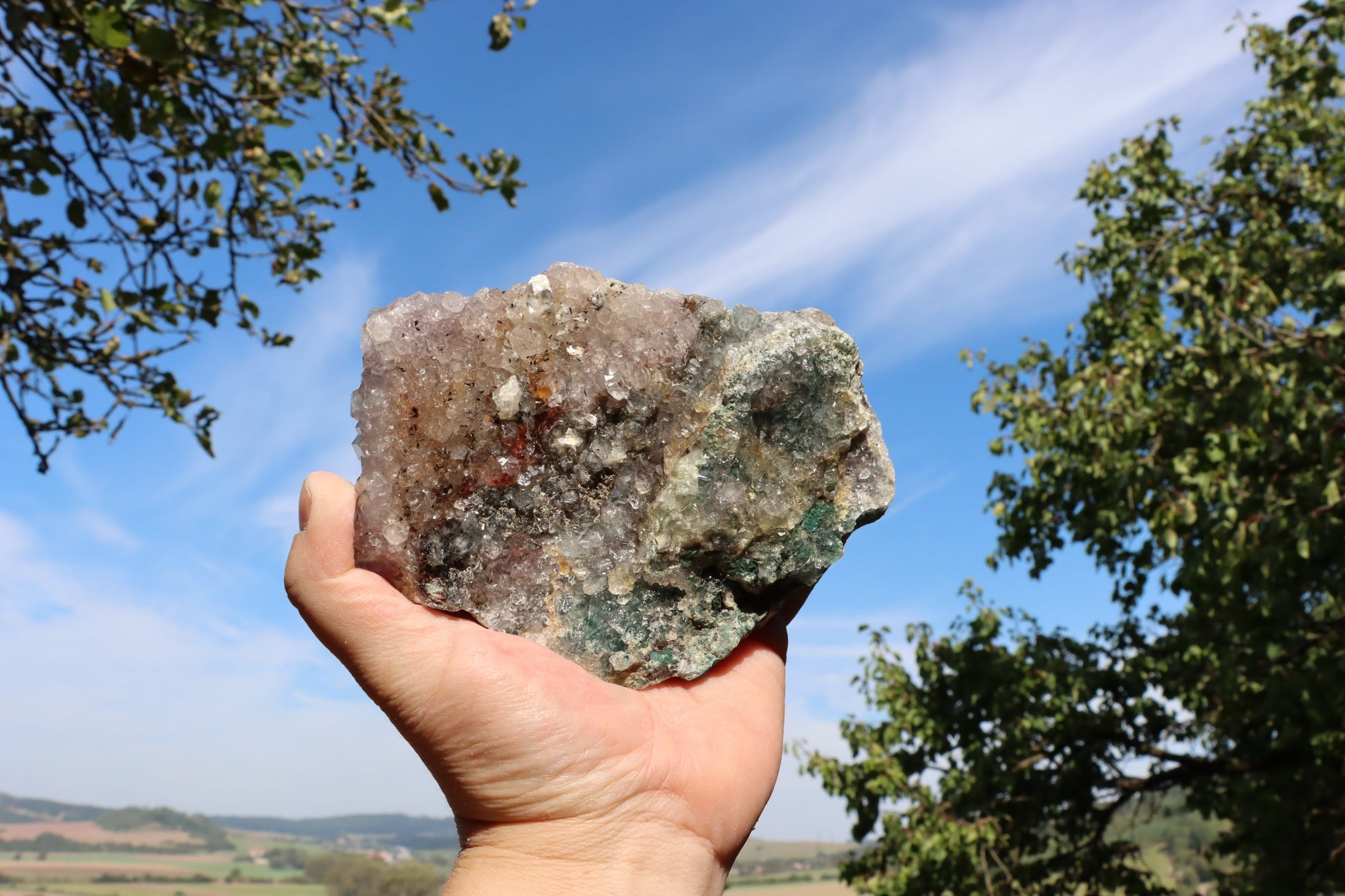 Ametystová drúza - Supreme Panthers