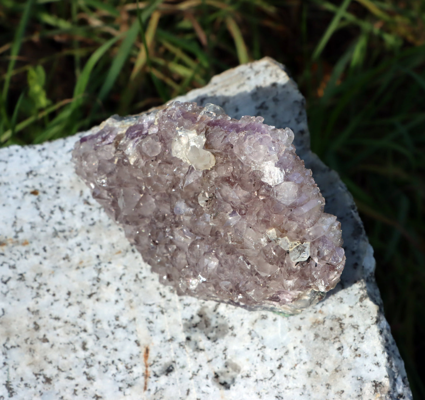 Ametystová drúza - Supreme Panthers