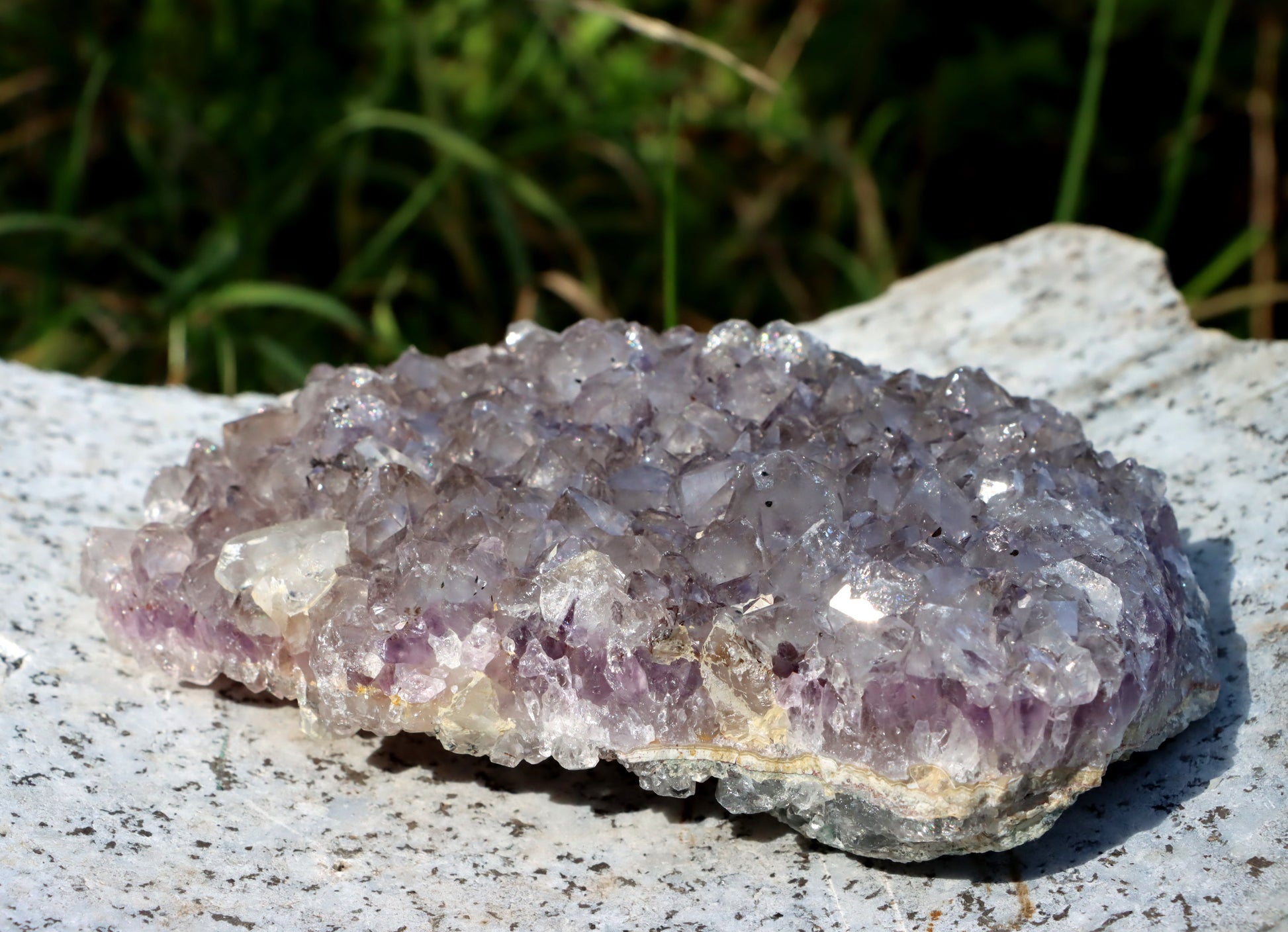 Ametystová drúza - Supreme Panthers