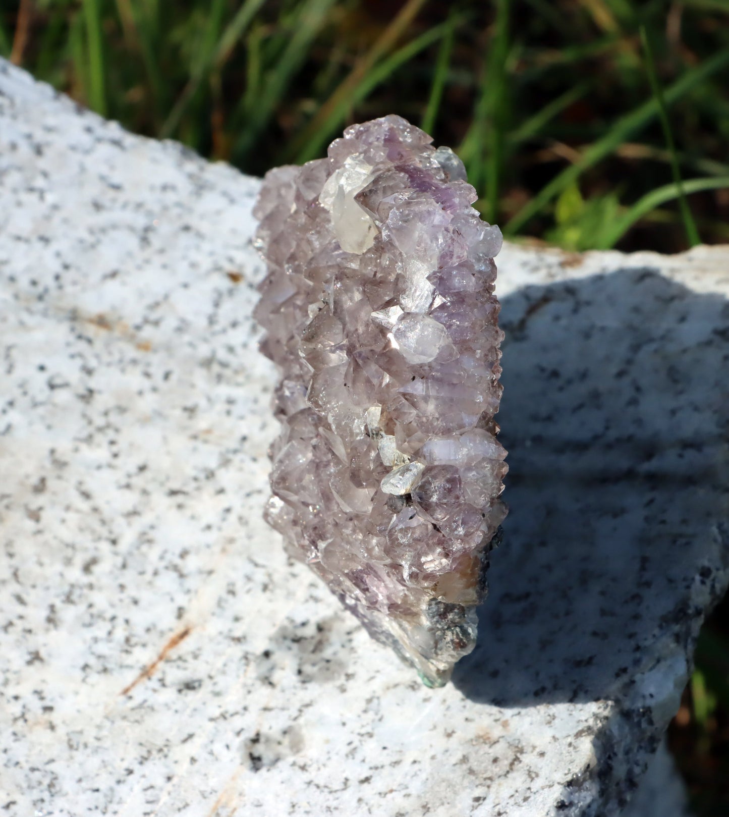 Ametystová drúza - Supreme Panthers