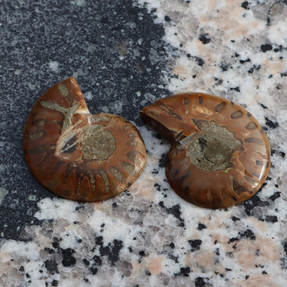 Amonit pár leštěný - Supreme Panthers