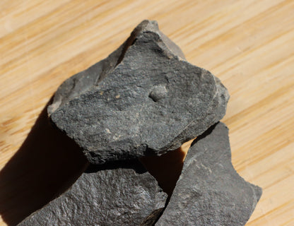 Anthraconeilo oblongum mlž 3ks - Supreme Panthers