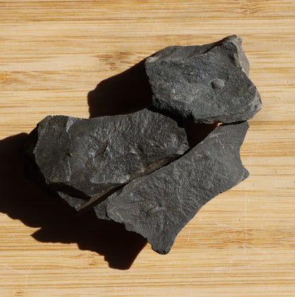 Anthraconeilo oblongum mlž 3ks - Supreme Panthers