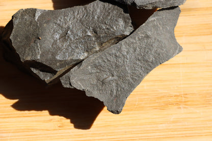 Anthraconeilo oblongum mlž 3ks - Supreme Panthers