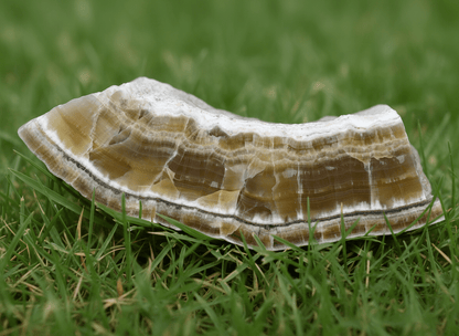 Aragonit - Supreme Panthers