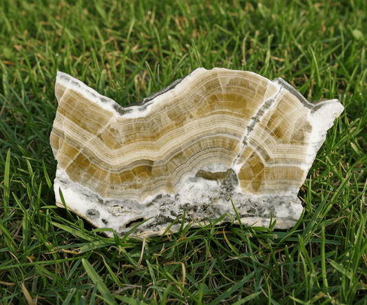 Aragonit - Supreme Panthers