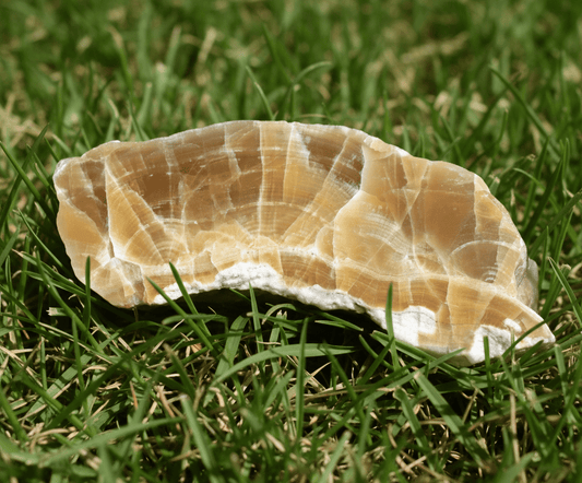 Aragonit - Supreme Panthers