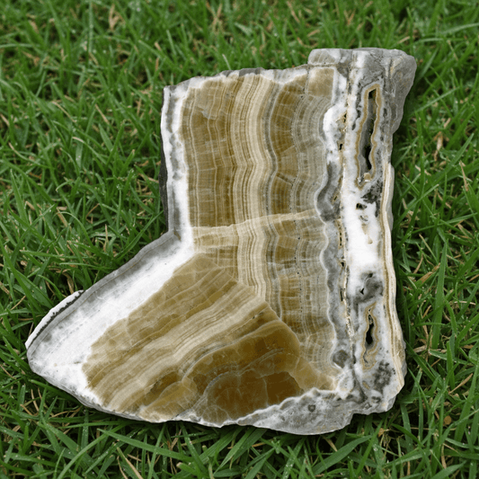 Aragonit - Supreme Panthers